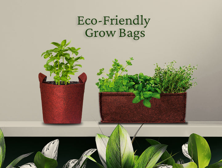How to Use Grow Bags for Gardening 
