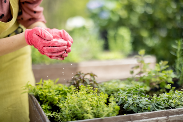 5 Fertilizer which works best for home gardening