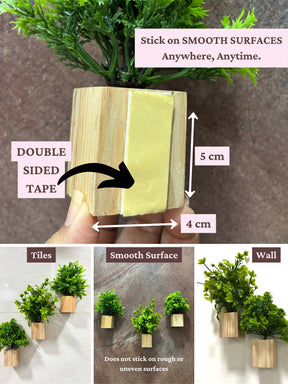 Mini Wall Wooden Planter with Plants - 4 pieces