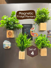 Magnetic Fridge Planter with Wooden Holder (set of 4)