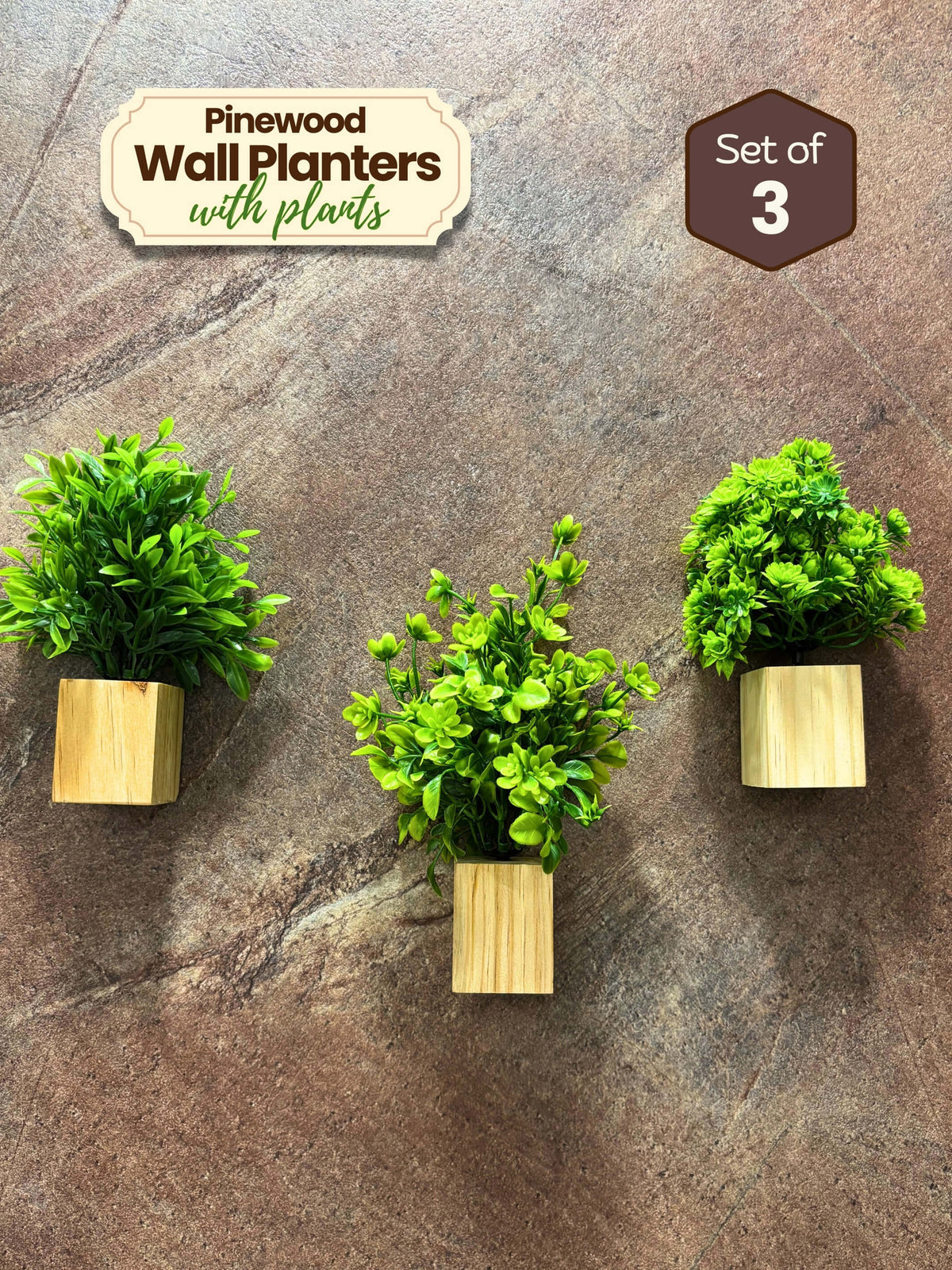 Mini Wall Wooden Planter with Plants - 3 pieces