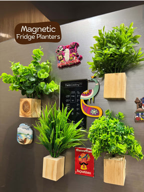 Magnetic Fridge Planter with Wooden Holder (set of 4)