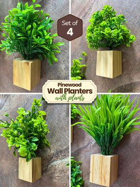 Mini Wall Wooden Planter with Plants - 4 pieces