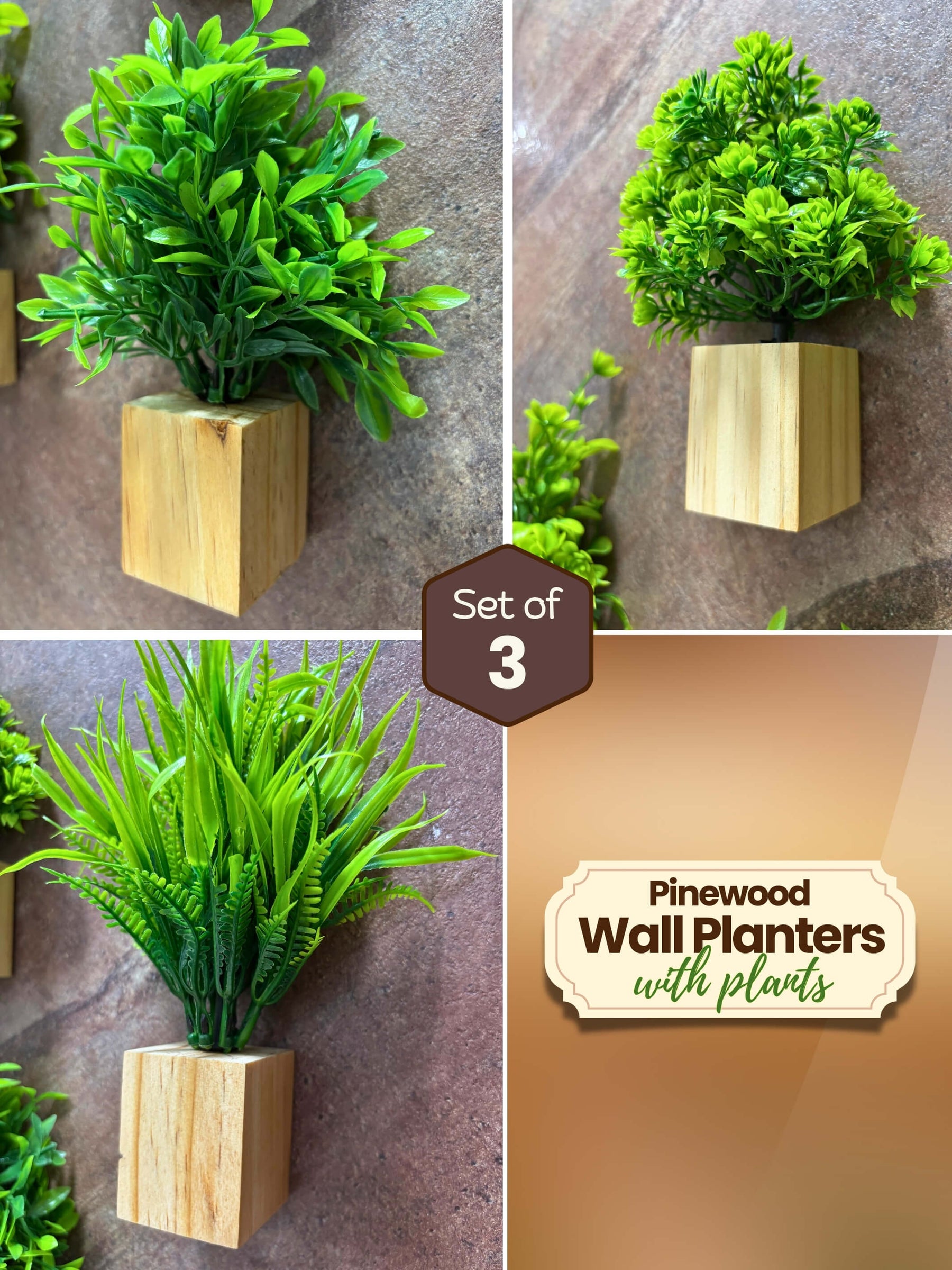 Mini Wall Wooden Planter with Plants - 3 pieces