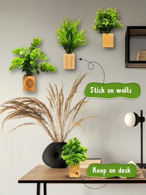 Mini Wall Wooden Planter with Plants - 3 pieces