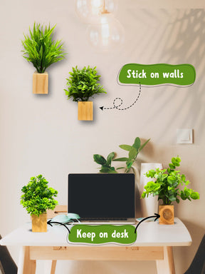 Mini Wall Wooden Planter with Plants - 4 pieces