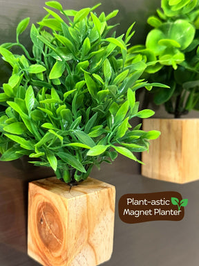 Magnetic Fridge Planter with Wooden Holder (set of 4)