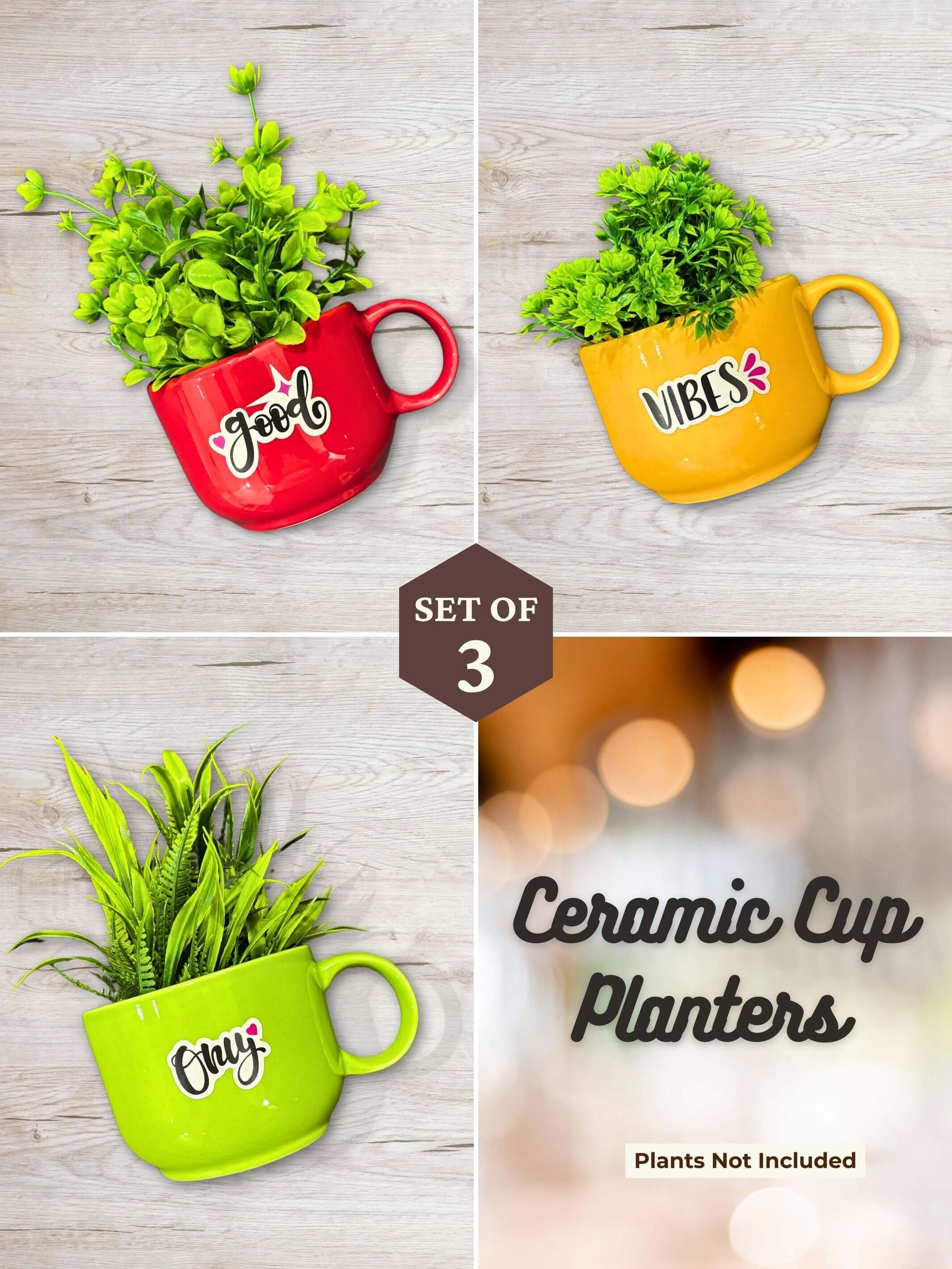 Ceramic Cup Planter (Good Vibes Only) (Set of 3)