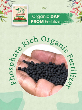 Organic DAP PROM Fertilizer for Vegetables - 900 Grams