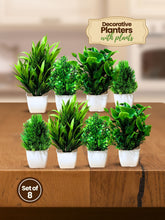 Mini White Planter with Plants - 8 pieces