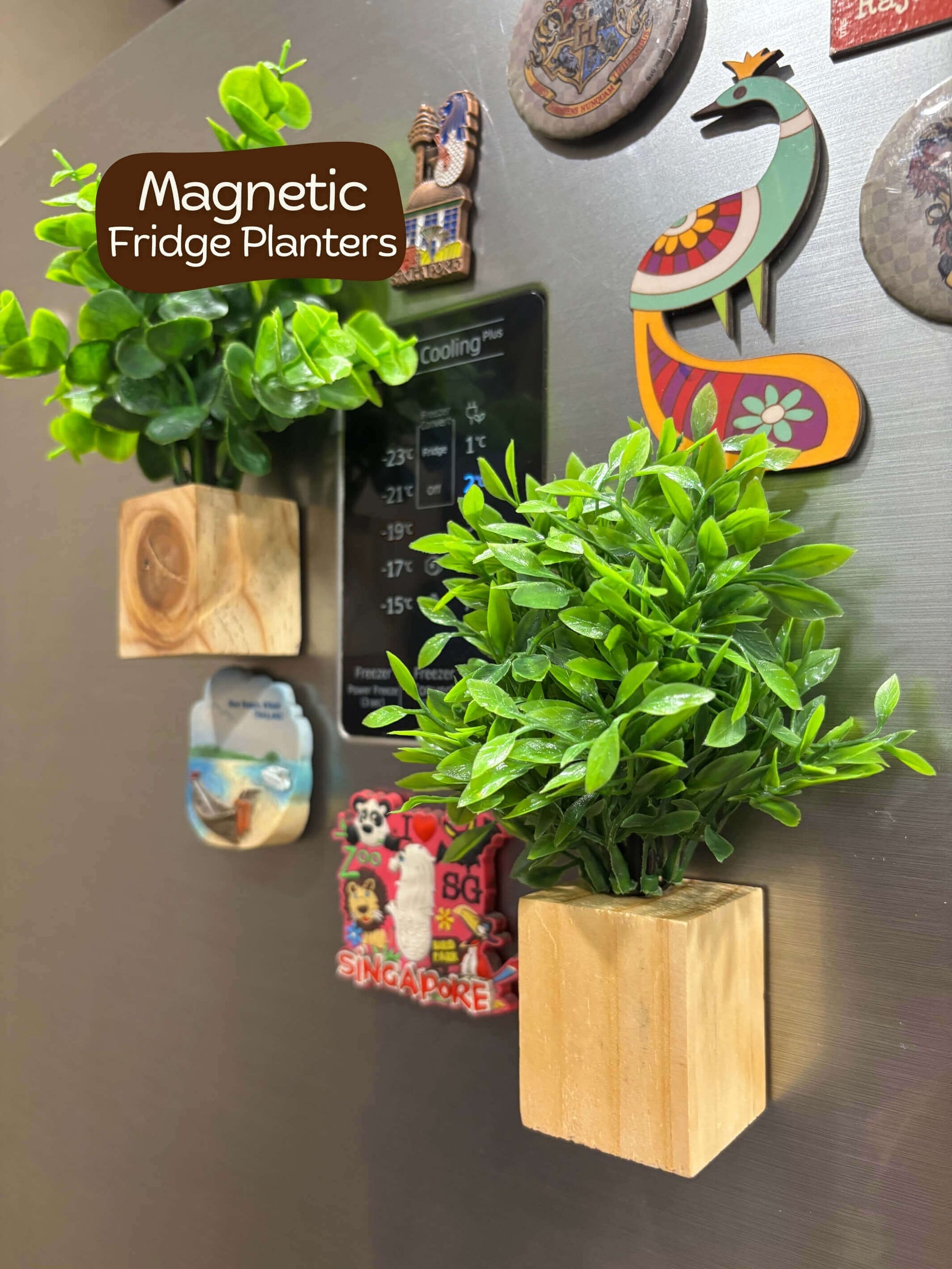 Magnetic Fridge Wooden Planter with Plants-  2 pieces