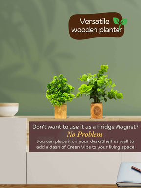 Magnetic Fridge Wooden Planter with Plants-  2 pieces