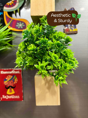 Magnetic Fridge Wooden Planter with Plants-  2 pieces