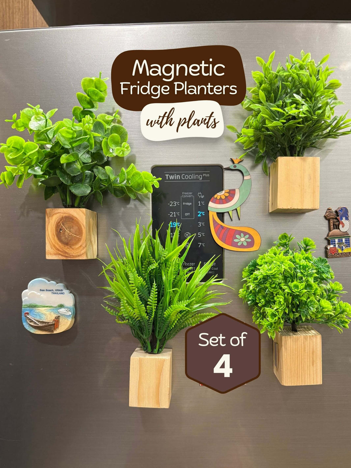 Magnetic Fridge Wooden Planter with Plants-  4 pieces