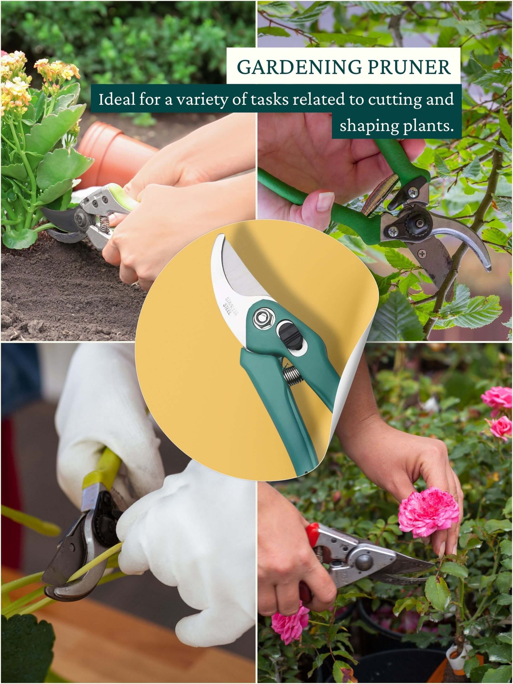 Pruner + Gloves - Gardening Tools