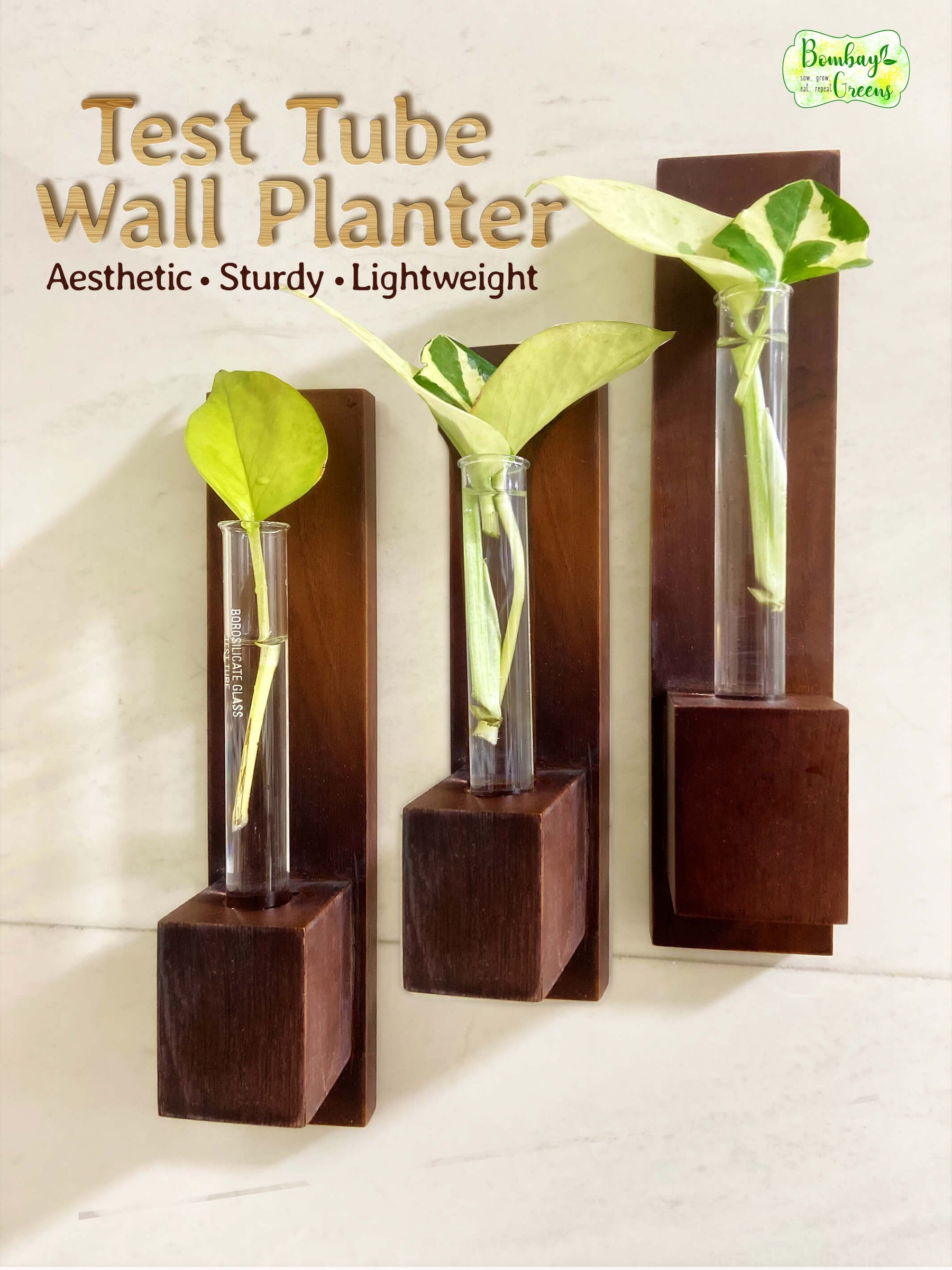 Test Tube Wall Planter with Wooden Holder (set of 3)