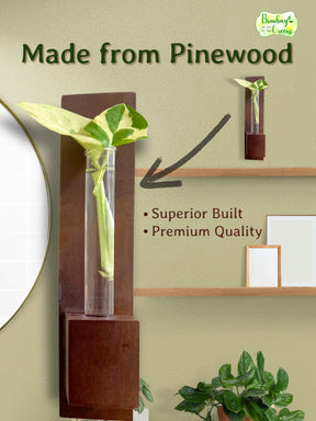 Test Tube Wall Planter with Wooden Holder (set of 3)