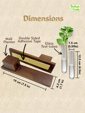 Test Tube Wall Planter with Wooden Holder (set of 3)