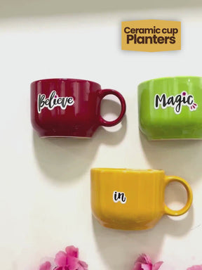 Ceramic Cup Planter (Believe In Magic) (Set of 3)