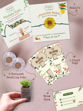 Seeds Rakhi Gift Kit- Duo Set (Yellow Blossom + Zig Zag)